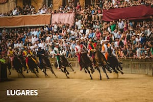 El palio de Siena tiene lugar cada 16 de agosto. Gentileza Consorzio per la Tutela del Palio de Siena.
