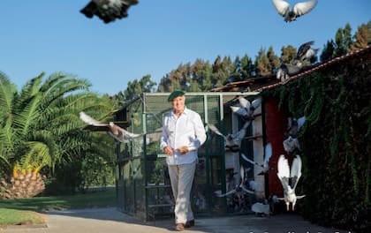 El palomar es parte del paseo