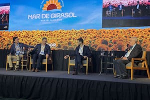 Las grandes empresas ven una oportunidad mundial inédita con el girasol