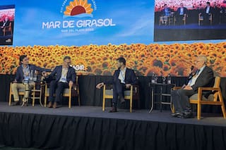 Las grandes empresas ven una oportunidad mundial inédita con el girasol