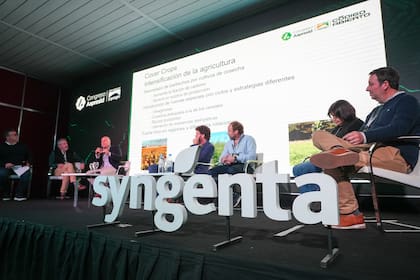 El panel en Aapresid