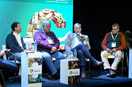 El panel que participó de la charla