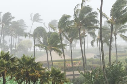 El Panhandle de Florida no escapa al peligro: registra un 46% de probabilidad de impacto directo de huracán y 23% para huracanes mayores