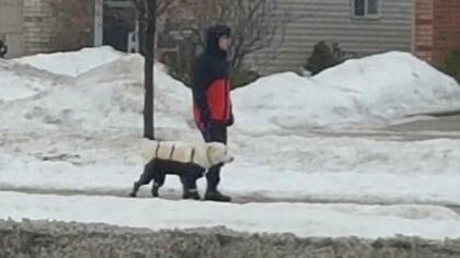 El pantalón de cuatro patas