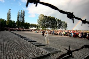 Auschwitz y los antídotos contra la barbarie