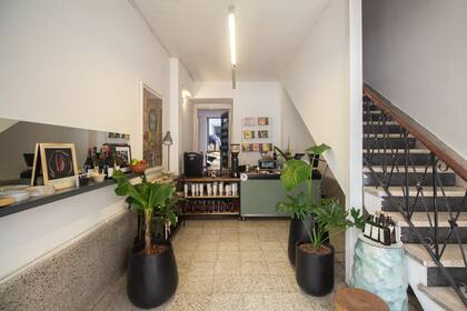 El Papagayo petit, la nueva apuesta de Javier Rodríguez