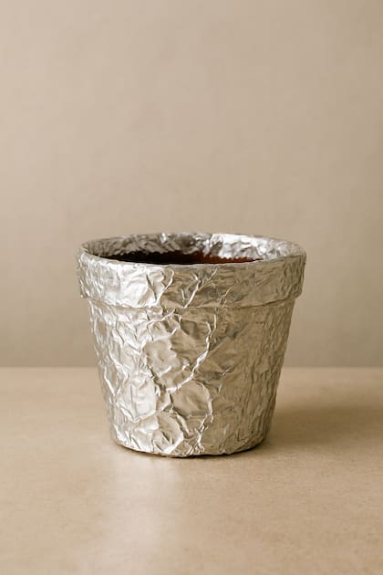 El papel aluminio, el aliado de las plantas (Foto: IA)