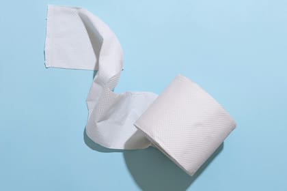 El papel higiénico debería desecharse en el inodoro y no guardarse en un tacho