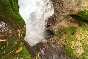 Viral: dos turistas se tiran en una cascada en la selva y desaparecen en un pozo