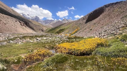 El paraje Cajón de Arenales exige una preparación técnica avanzada para el ascenso