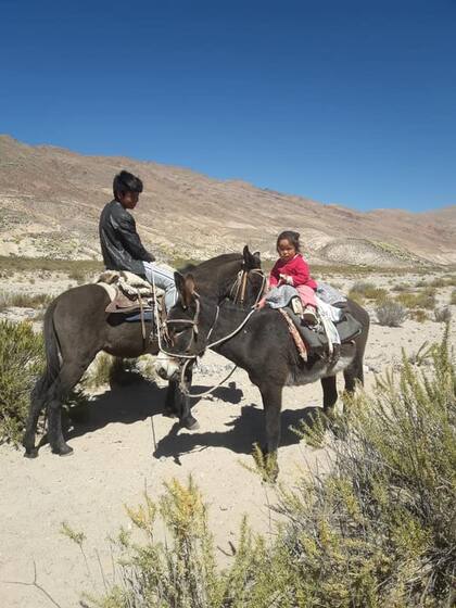 El paraje El Tolar queda en Catamarca