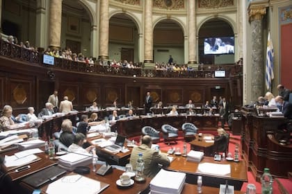 El parlamento uruguayo busca reformar una ley que en su momento fue de vanguardia, pero que ahora ha perdido vigencia