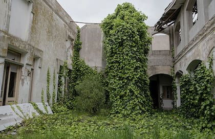 El parque actualmente, tomado por una vegetación fuera de control