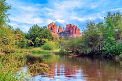 El parque alberga más de 78 especies de mamíferos, 291 de aves, 44 de reptiles y una gran variedad de insectos y planta