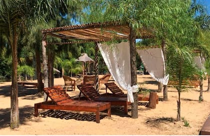 El parque con palmeras y reposeras de La Delfina Island Resort.