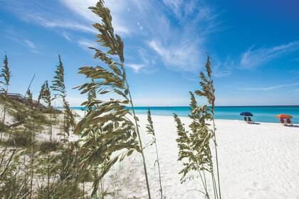 El parque conectará corredores de conservación para la vida silvestre