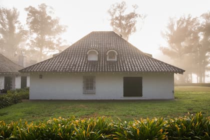 El parque de Ave María abunda en magnolias y camelias centenarias, rosales y otras plantas que la dueña cuida personalmente