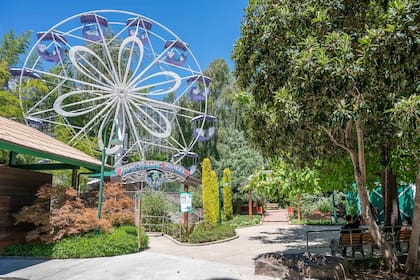 Testigos del hecho relataron que escucharon un fuerte crujido antes del desplome