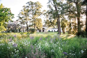 La aventura de una paisajista que transformó el jardín de una antigua estancia en un paseo de flores