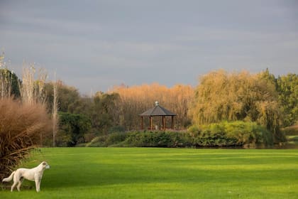 El parque está formado con distintos macizos de la misma especie y una cantidad de obras de arte de la que ya se perdió la cuenta