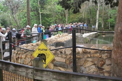 El parque estatal de Homosassa Springs es un importante atractivo turístico de la ciudad