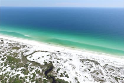 El Parque Estatal Grayton Beach, en Florida, abre desde las 8 hs hasta el anochecer