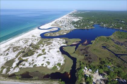 El Parque Estatal Grayton Beach tiene una playa paradisíaca y un vasto territorio en el que se pueden realizar múltiples actividades