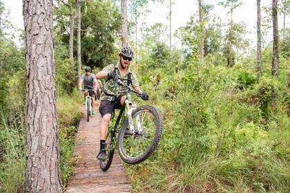 El Parque estatal Highlands Hammock ofrece senderos para realizar caminatas y ciclismo
