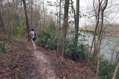 El Parque Estatal Torreya cuenta con 16 kilómetros de senderos caminables