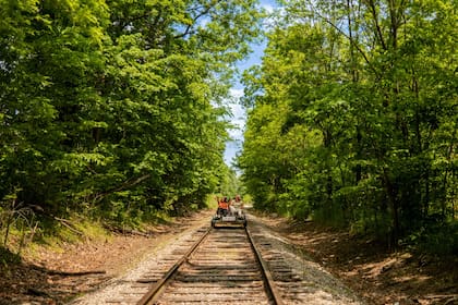 El Parque Estatal Turkey Run es una de las principales atracciones de Indiana, con opciones de bajo costo al aire libre
