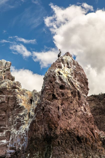 El Parque Interjurisdiccional Marino Isla Pingüino comprende un sector del Mar Argentino incluyendo sus islas e islotes