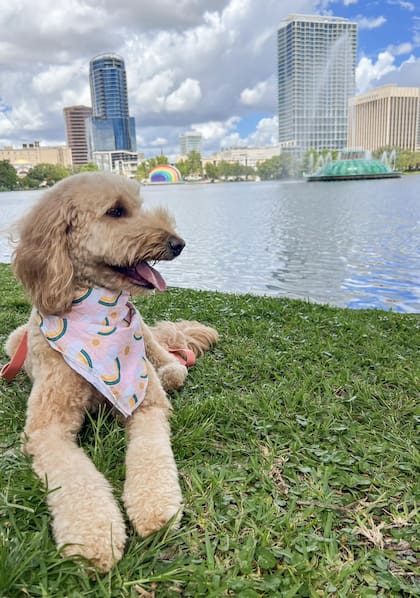 El parque Lake Eola es ideal para pasear en familia y con las mascotas (Facebook/Lake Eola Park)
