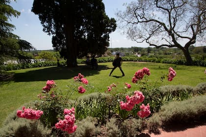 El parque lleno de verde