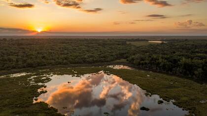 El Parque Nacional Iberá.