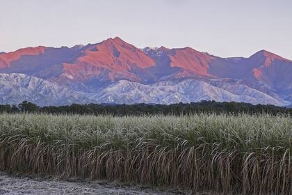 El parque nacional Aconquija, en el oeste de Tucumán