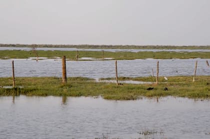 El parque nacional Ansenuza, en Córdoba