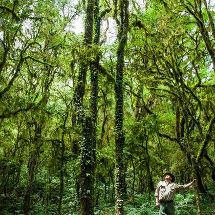 El parque nacional Baritú, ubicado en la provincia de Salta, aún no se encuentra habilitado a visitantes.