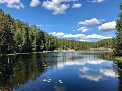 El Parque Nacional de Nuuksio es uno de los 35 parques nacionales de Finlandia y el más cercano a Helsinki