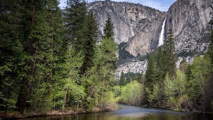 El parque nacional de Yosemite fue la locación de la serie "Indomable" de Netflix (Web/NPS)