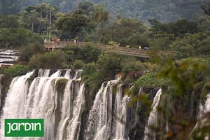 El Parque Nacional Iguazú, el más visitado de la Argentina, es una muestra única de selva húmeda subtropical con más de 30.000 especies registradas.