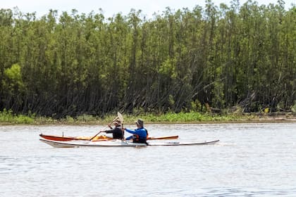 El Parque Nacional Islas de Santa Fe, entre camalotes y flores de irupé
