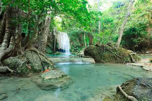 El Parque Nacional Los Alerces tiene rincones para elegir: son 263.000 hectáreas de lagos, ríos, arroyos, cascadas, montañas y bosques tupidos
