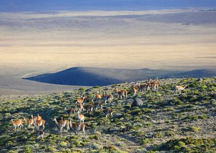 El Parque Nacional Patagonia en la provincia de Santa Cruz es una ubicación privilegiada para ver el eclipse solar anular del 2 de octubre (Foto: Santiago Hafford)