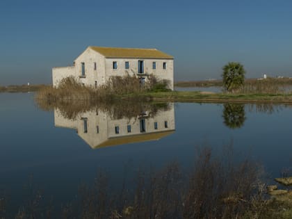 El Parque Natural de la Albufera, en Valencia.