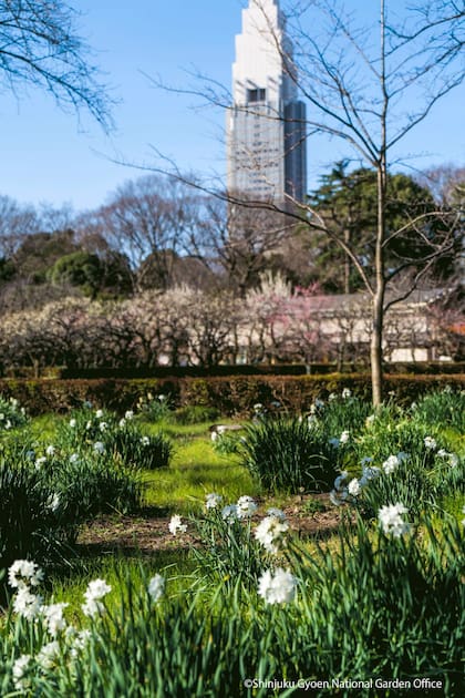 El parque ofrece un oasis de tranquilidad en una ciudad multitudinaria