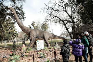 Qué se puede hacer con los chicos en el Parque Pilar en las vacaciones de invierno 2025