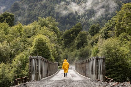 El Parque Pumalín, una de las áreas protegidas que atraviesa la carretera austral y parte del proyecto de Tompkins de convertirla en una ruta escénica. Gustavo Castaing