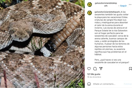 El Parque realizó una advertencia sobre la presencia de serpientes en redes sociales