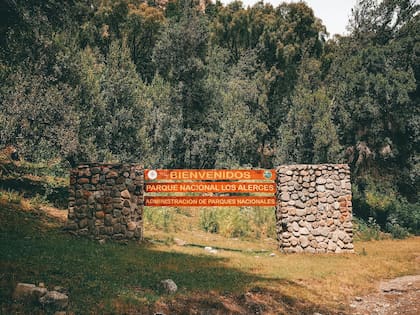 El parque se sumó a la lista de Patrimonio Mundial de la Humanidad, un reconocimiento de la UNESCO (Gentileza: Patagonia Ambiental)