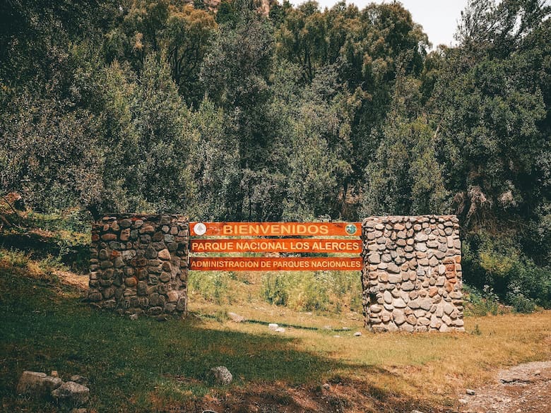 parque nacional los alerceres